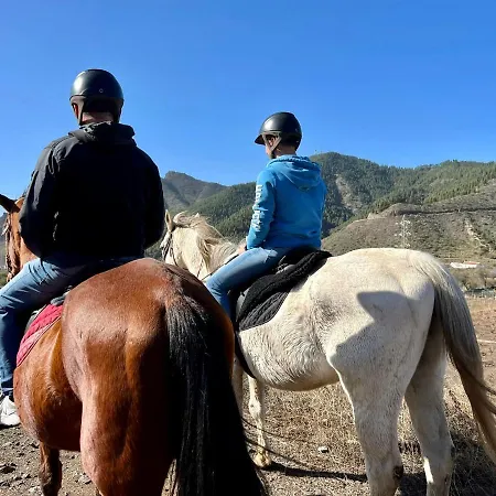 Lovely Gigantes Acantilado de los Gigantes